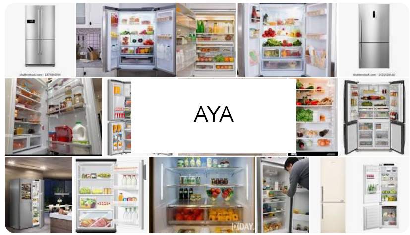 Schede tecniche e manuali uso frigoriferi Aya